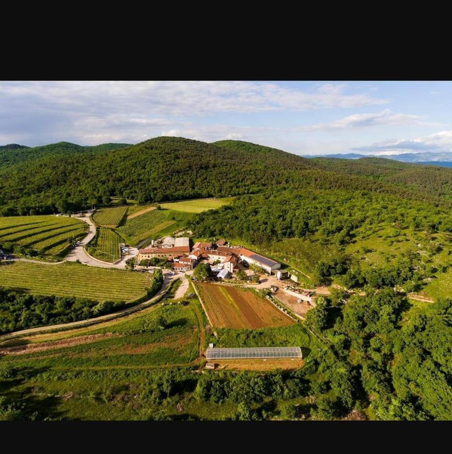 Agriturismo Milic Villa Rupinpiccolo Екстериор снимка
